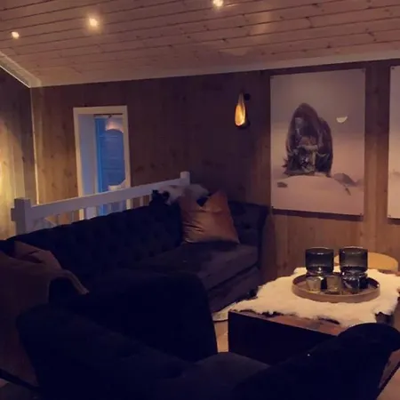 Ski-in Ski-out High Standard Cabin, 3 Bedroom