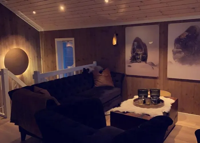 Ski-in Ski-out High Standard Cabin, 3 Bedroom