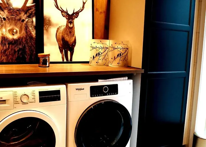 Ski-in Ski-out High Standard Cabin, 3 Bedroom Semesterbostad *