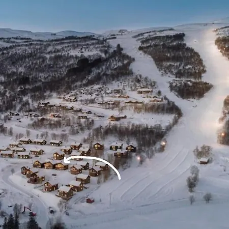 Ski